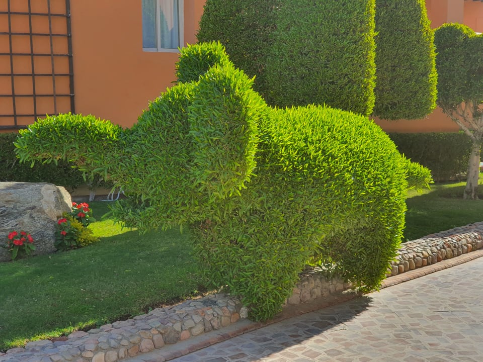 Gartenanlage Cleopatra Luxury Resort Makadi Bay