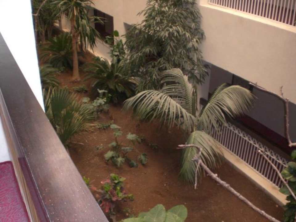 Gartenanlage im Hotel Hotel Rosa Beach