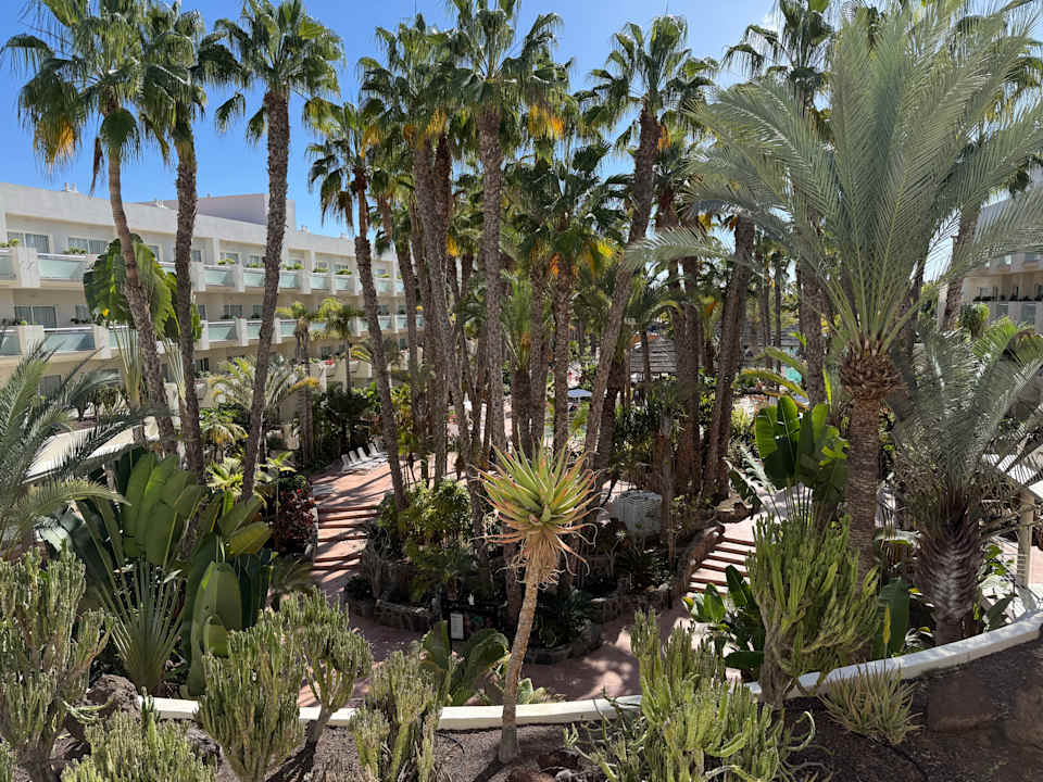 Gartenanlage Tabaiba Princess