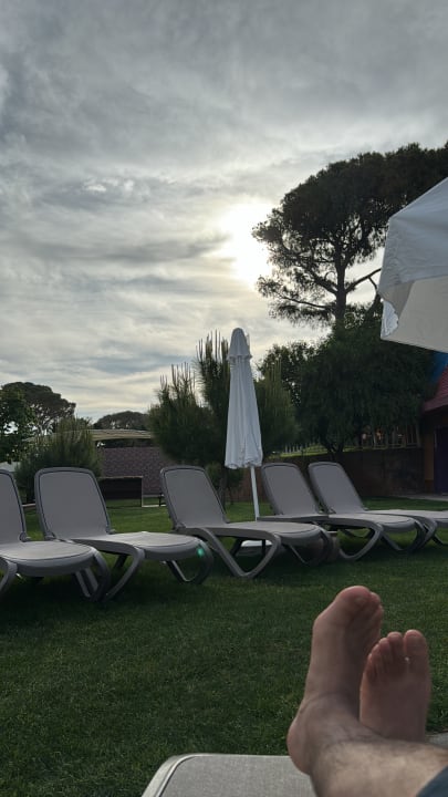 Pool Papillon Ayscha