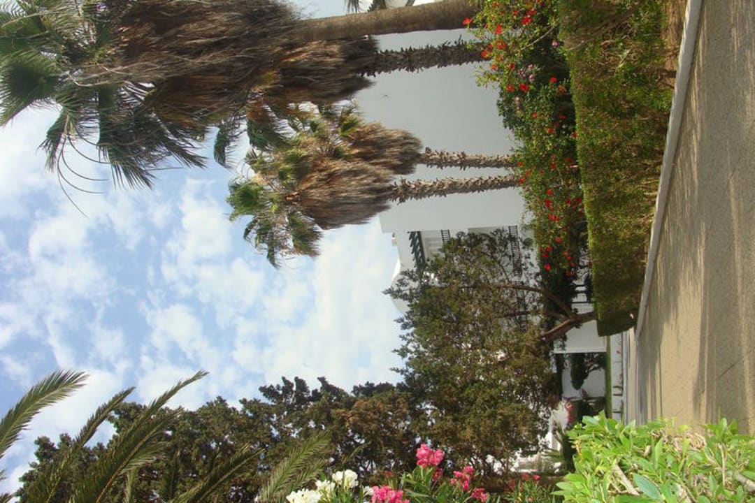 Droga do pokoju  Hotel El Fell Resort & Spa