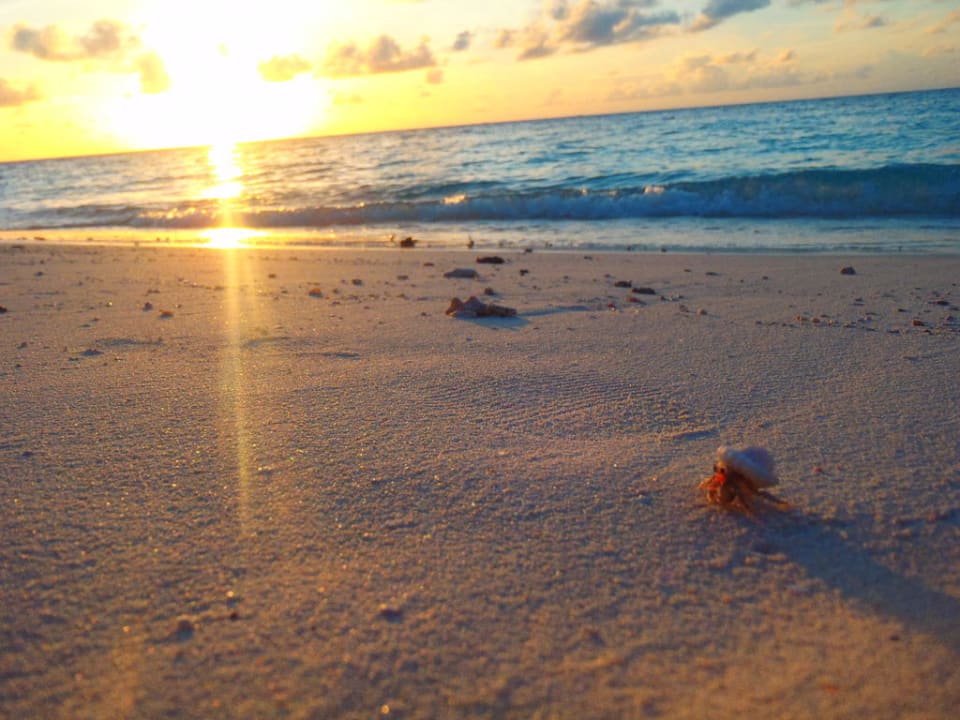 Sonnenuntergang Adaaran Club Rannalhi - All Inclusive