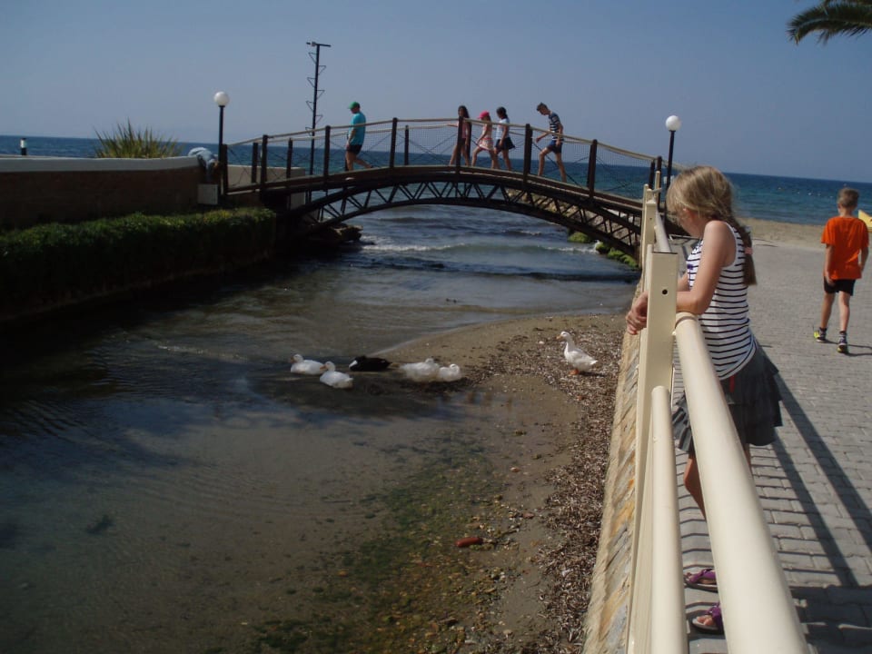 Zugang zum Restaurant Ephesia Holiday Beach Club