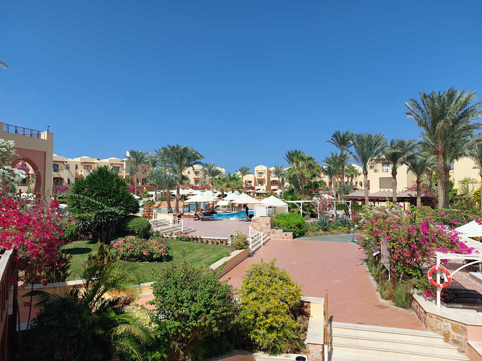 Pool Steigenberger Coraya Beach - Adults only