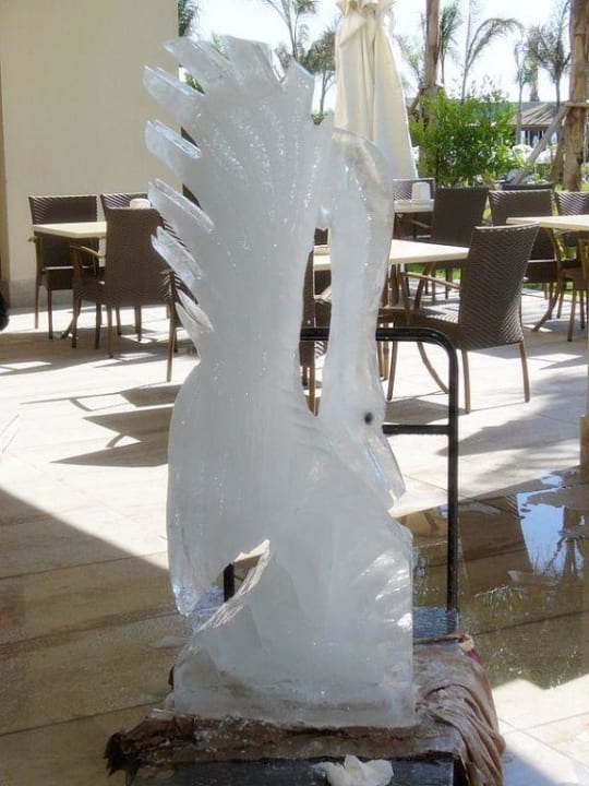 Hierfür hat der Koch ca. 1 Stunde gebraucht Sunis Kumköy Beach Resort Hotel & Spa