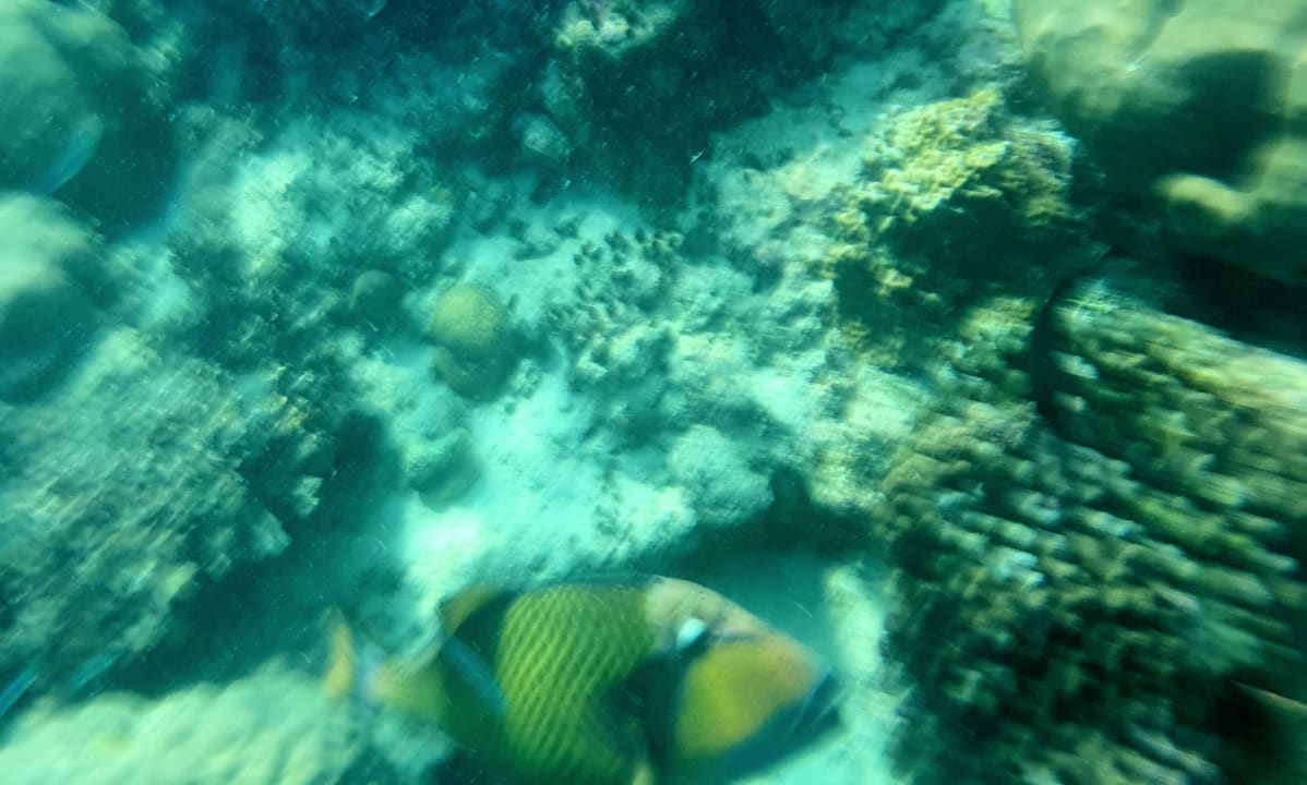 Sport & Freizeit Filitheyo Island Resort