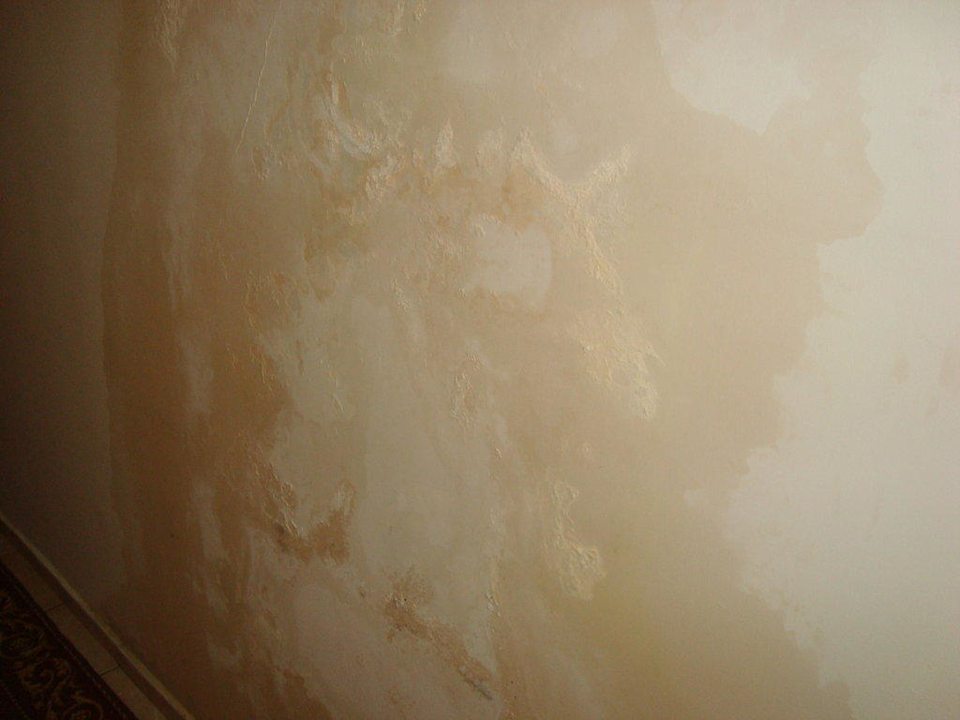 Die Wände im Flur Side Miami Beach