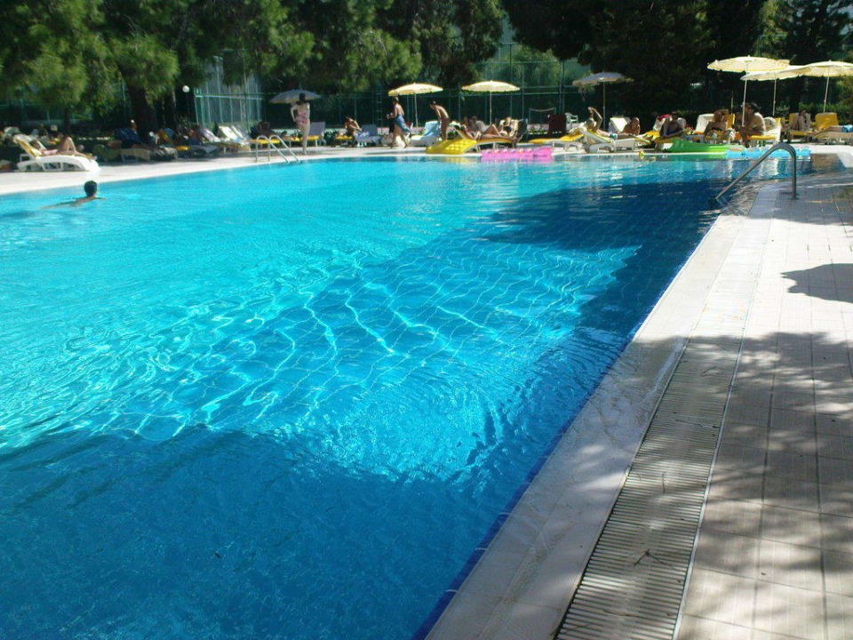 Pool Asteria Collection Side