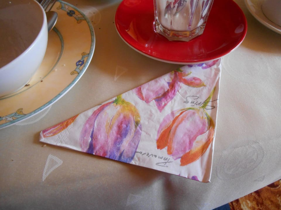 Furchtbar geschmacklose Servietten PARK VILLA zentral am Mittelrhein