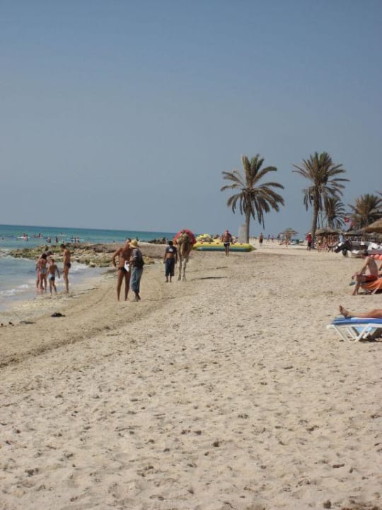 Der weisse Strand  Djerba Castille