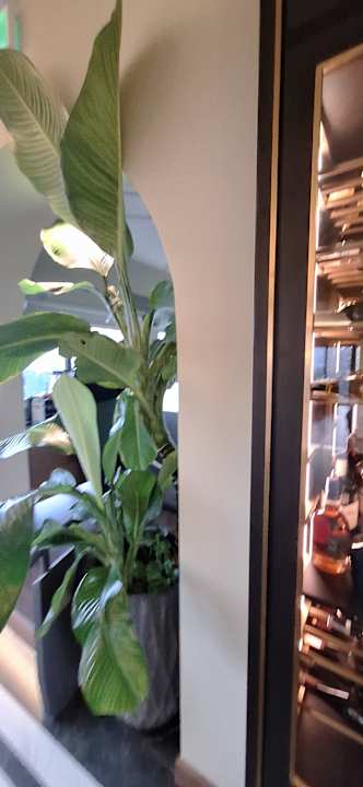 Gastro Bach Suites Saigon, a Member of Design Hotels