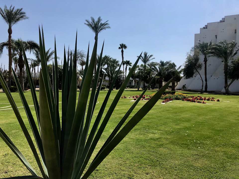 Gartenanlage Shams Safaga Resort