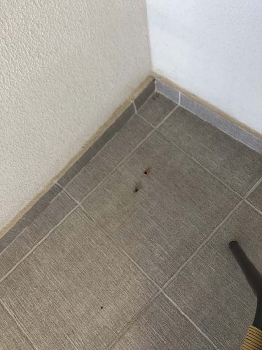 Zimmer Seaden Sea World Resort & Spa