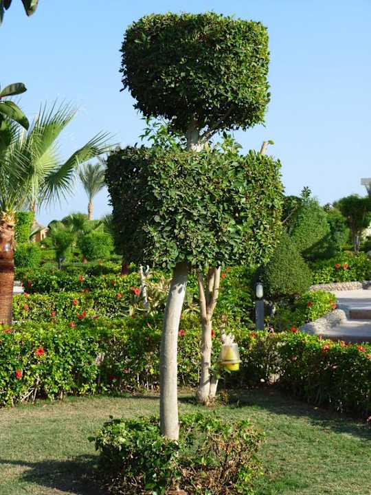 Festival Riviera Riviera Aqua Park Resort