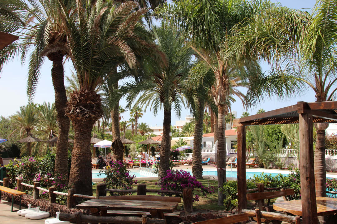 Blick von der Poolbar auf den Pool HL Miraflor Suites Hotel