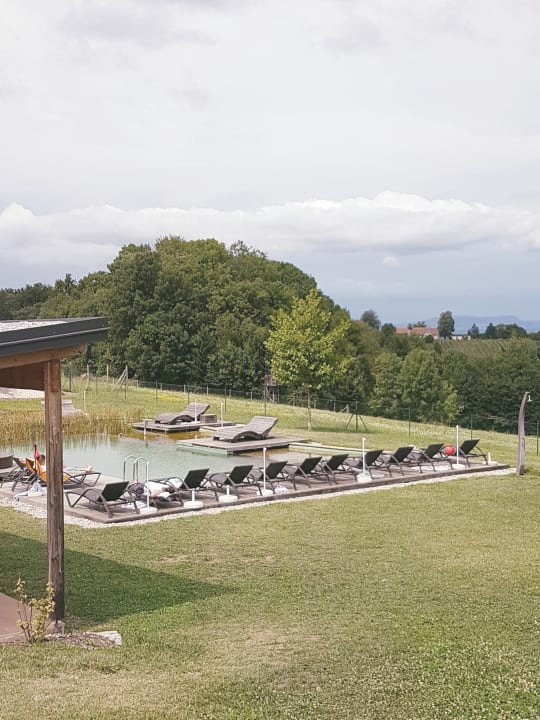 Pool Ratscher Landhaus