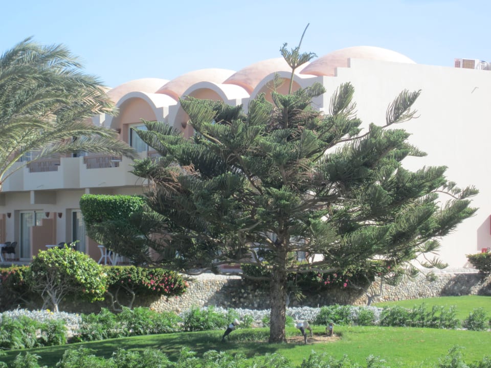 Sehr gepflegt Three Corners Sea Beach Resort