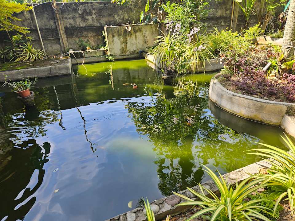 Gartenanlage Seaside traveler's Inn by Camiguin Island Home