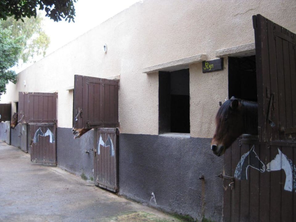 Reitstall Sahara Beach Aquapark & Resort