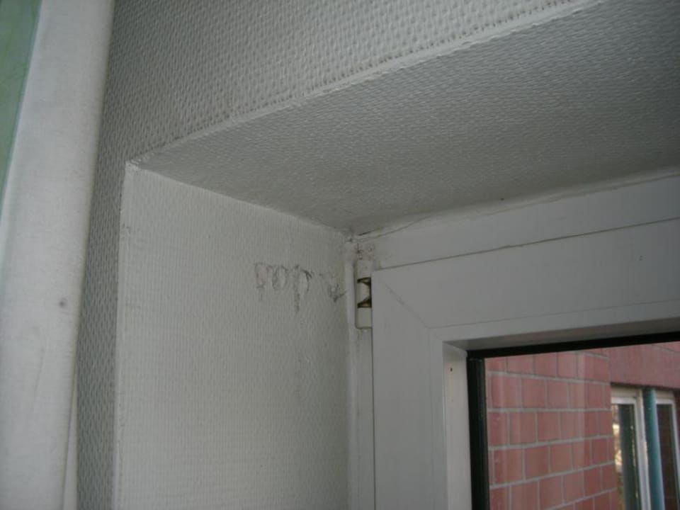 Die Tapete sieht auch schon gebeutelt aus H+ Hotel Köln Hürth