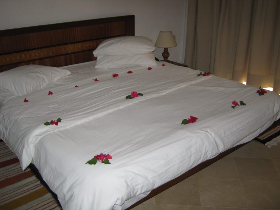 Zimmer The Orangers Beach Resort and Bungalows