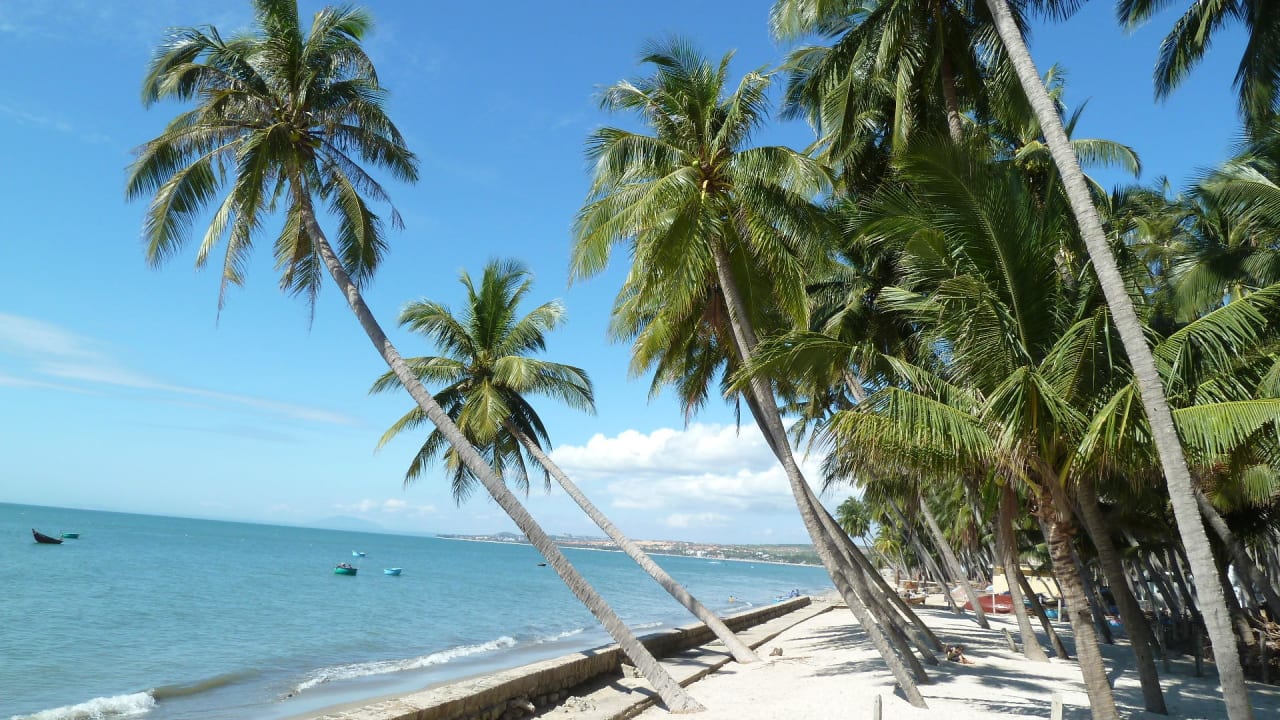 Nachbarstrand Hoang Ngoc Beach Resort