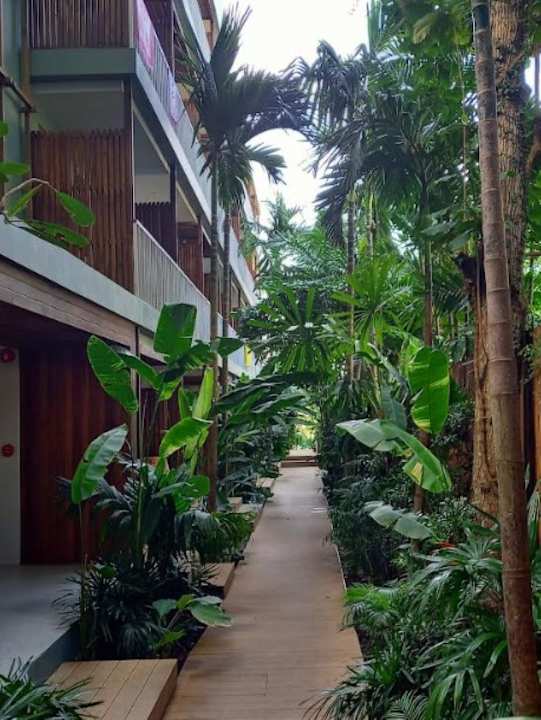 Gartenanlage The Stay Chaweng Beach Resort- SHA Plus