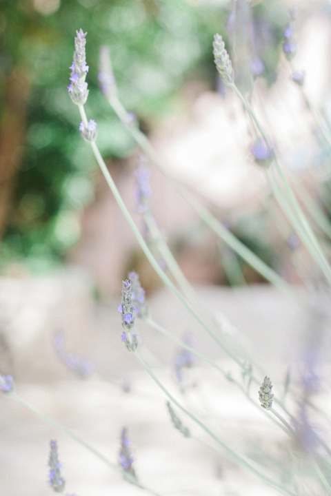 Außenansicht Afroditi Pansion