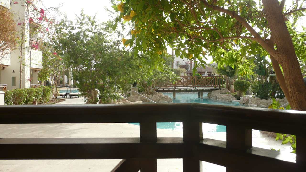 Blick aus dem Zimmer Ghazala Gardens