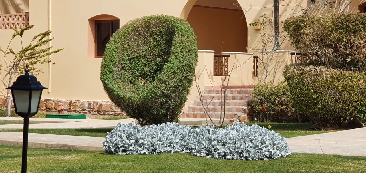 Gartenanlage Steigenberger Coraya Beach - Adults only