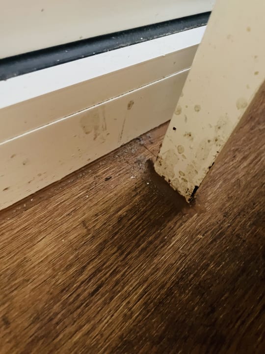 Zimmer Ferienwohnungen Ferienpark Weissenhäuser Strand