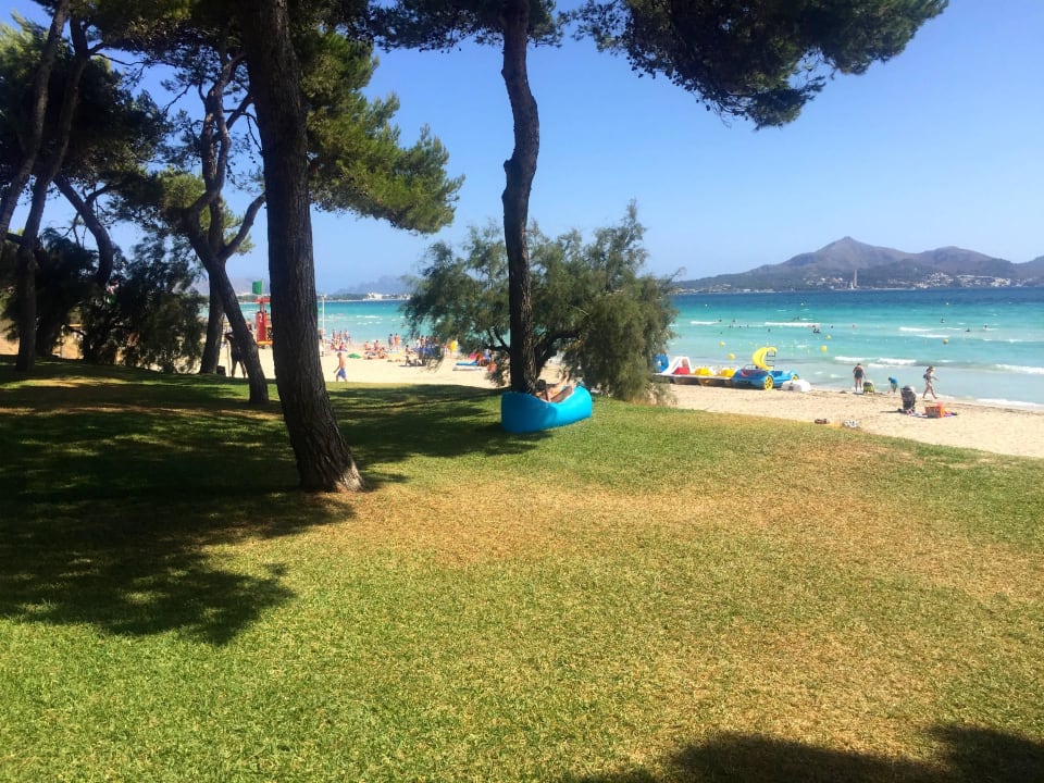 Liegewiese mit Strand Iberostar Waves Playa de Muro