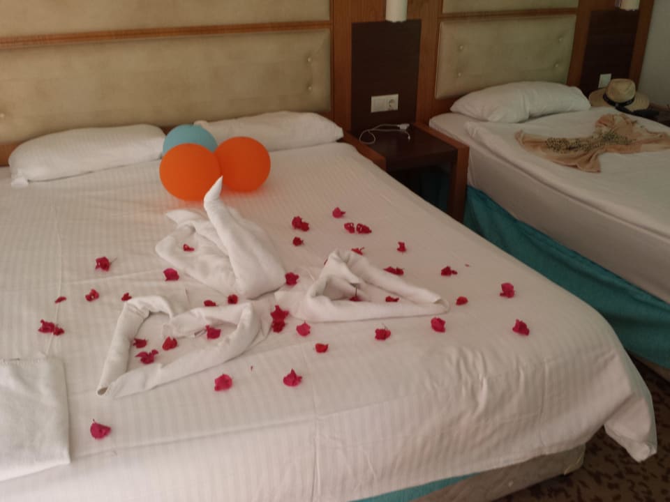 So wurden wir im Zimmer begrüßt Saturn Palace Resort Hotel