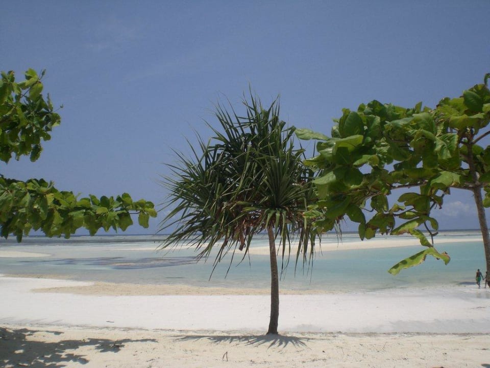 Hotel Neptune Pwani Neptune Pwani Beach Resort & Spa