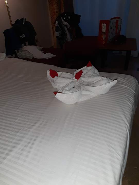 Zimmer Moreno Horizon Spa & Resort