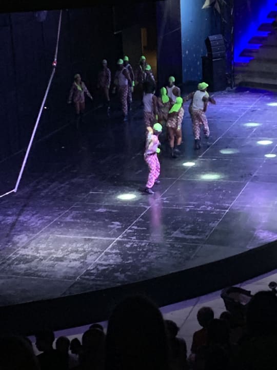 Sonstiges Royal Seginus