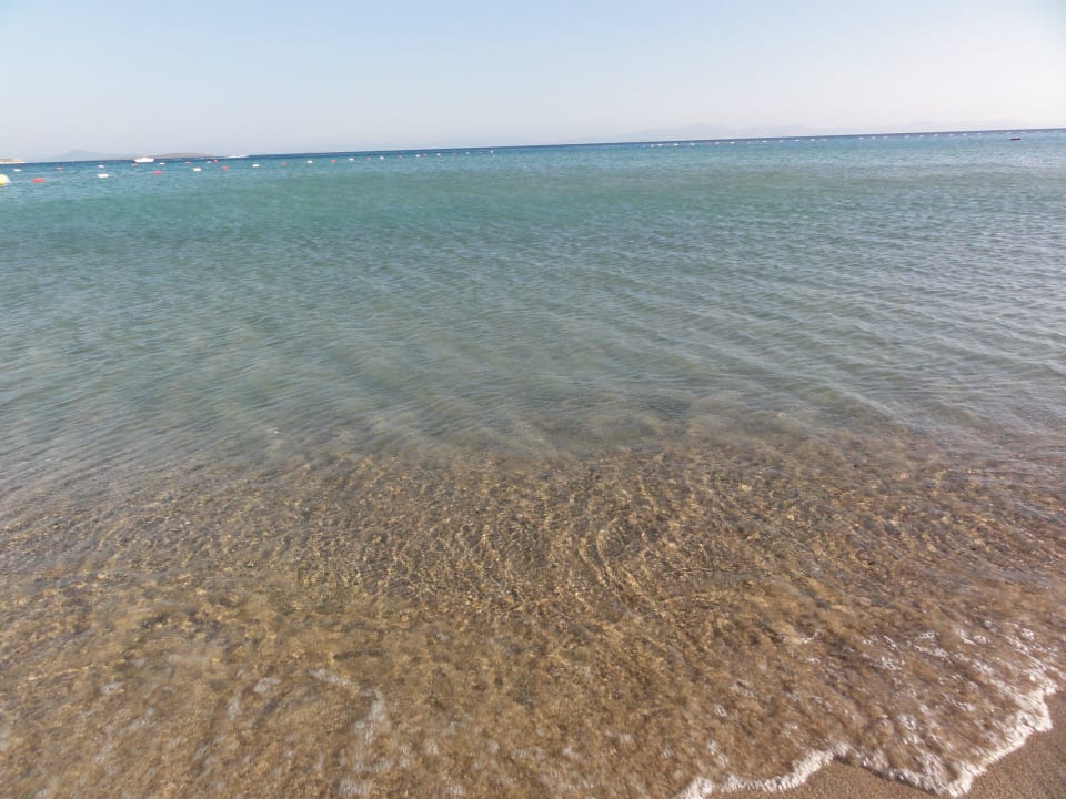 Altinkum Beach Hotel Altinersan Altinkum Didim
