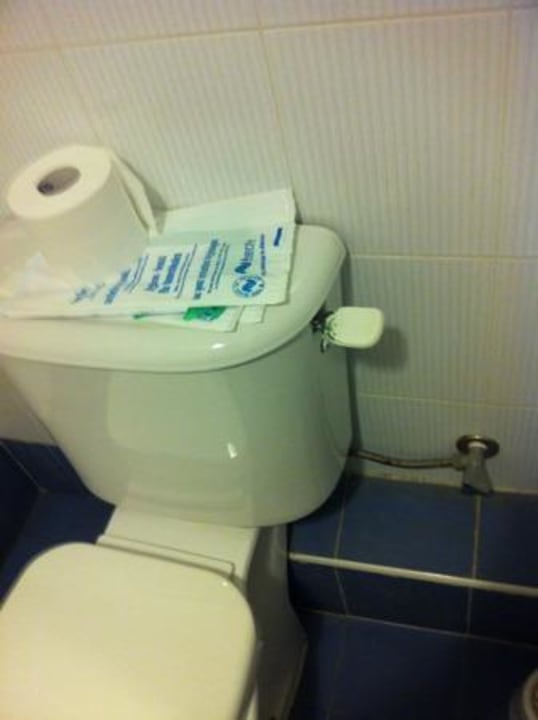 Toilletenspüler Grünspan und defekt Topaz Hotel