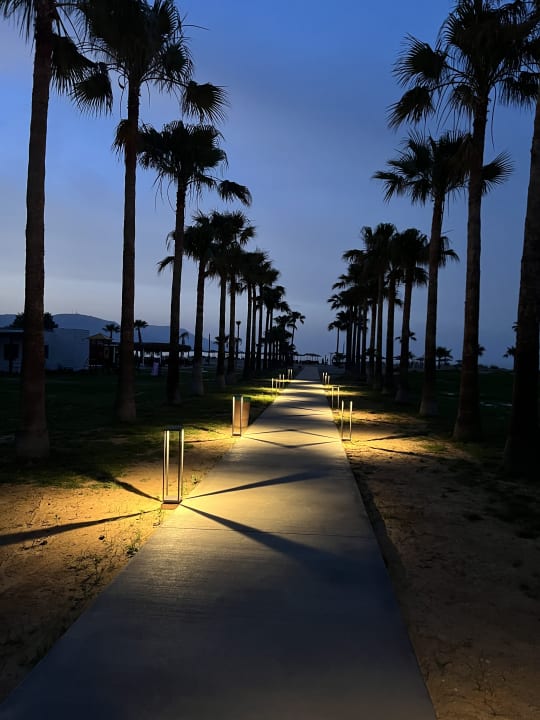 Gartenanlage Delfina Tropic Beach