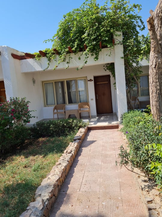 Zimmer Menaville Safaga