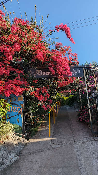 Gartenanlage Buena Vista Boquete