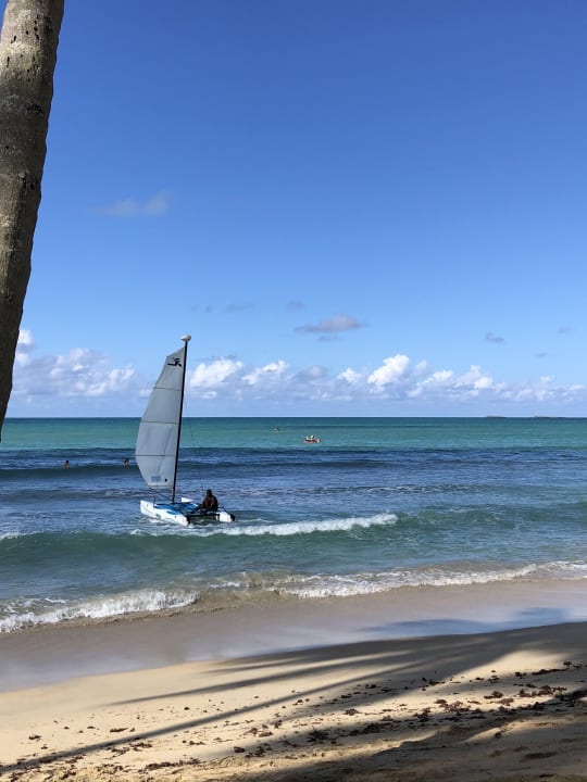 Strand Viva Wyndham Samaná