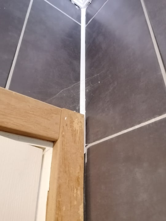 Zimmer Clover Magic Park Beach Alanya