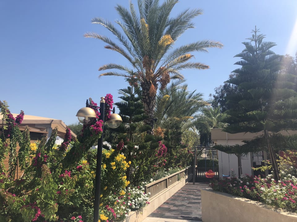 Gartenanlage Sidemarin Kirman Premium