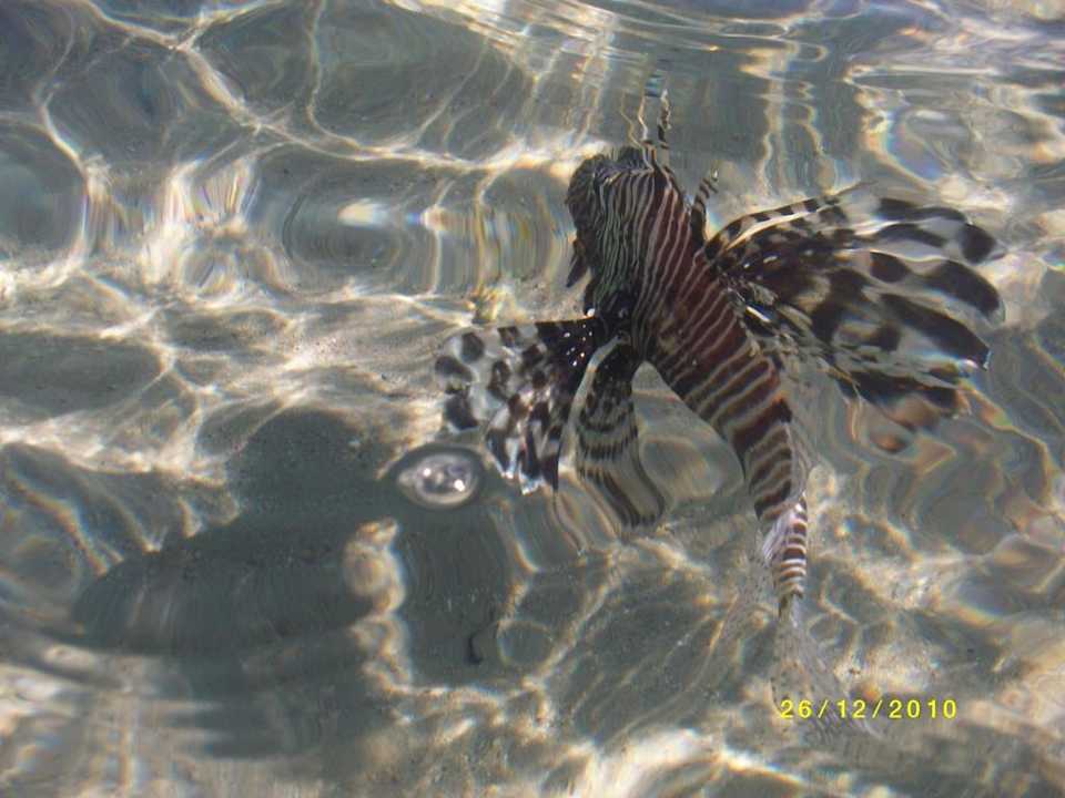 Direkt am Strand Titanic Beach Spa & Aqua Park