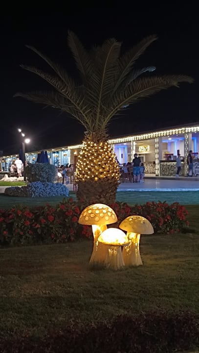 Gartenanlage Gravity Hotel & Aqua Park Hurghada