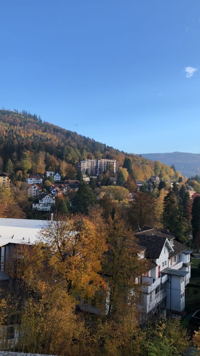 Ausblick Hotel Schwarzwald Panorama