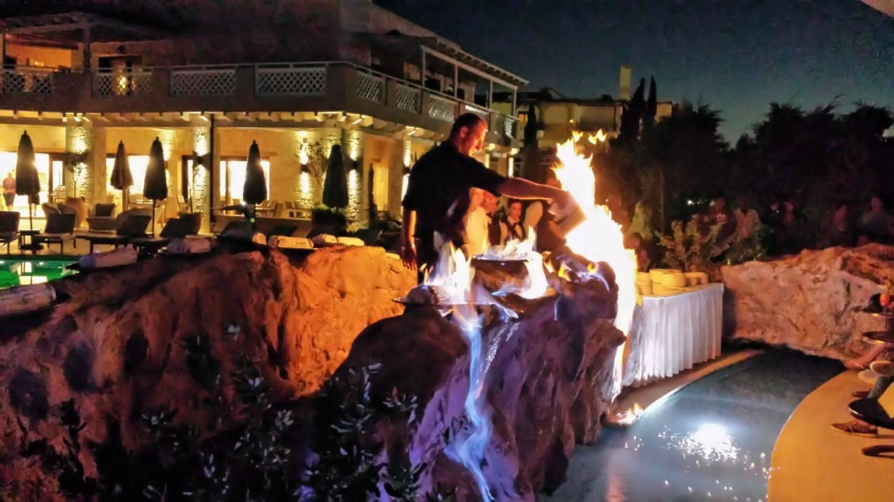 Es gab Eisbombe Cactus Royal