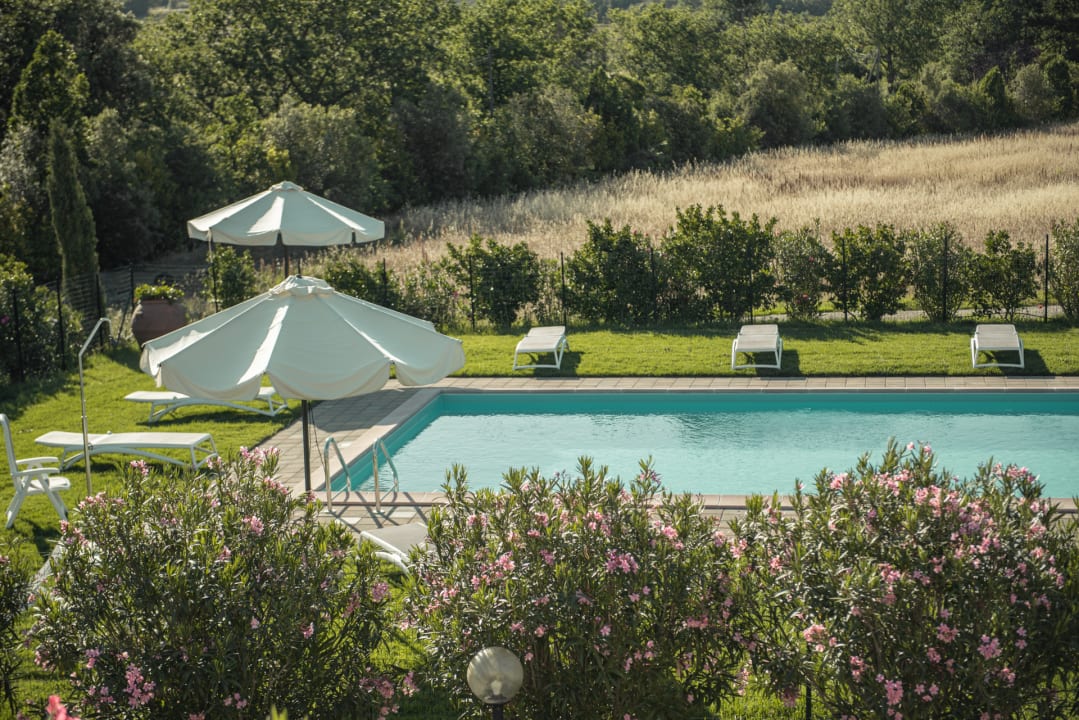 Pool Tenuta Il Cicalino