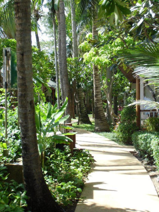 So siehts aus in der Anlage Banana Fan Sea Resort